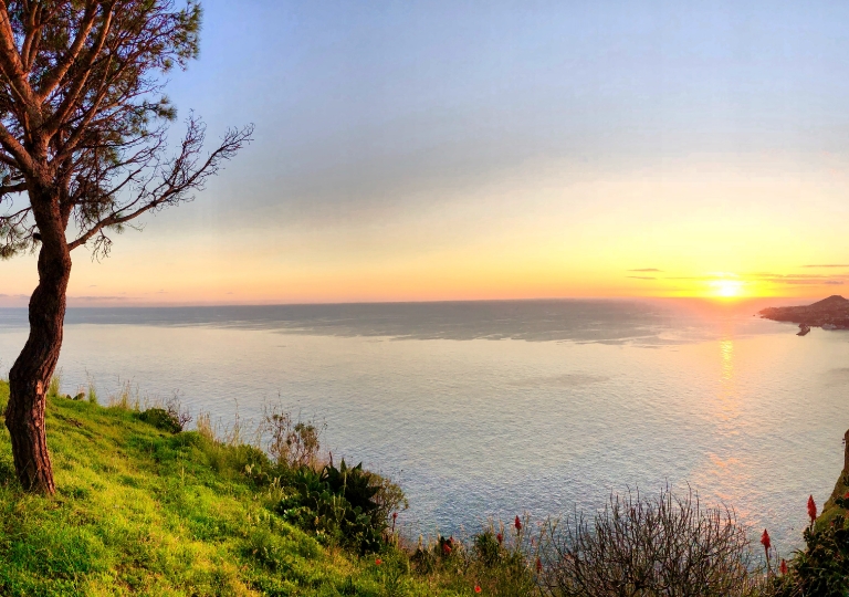 Funchal Sunset